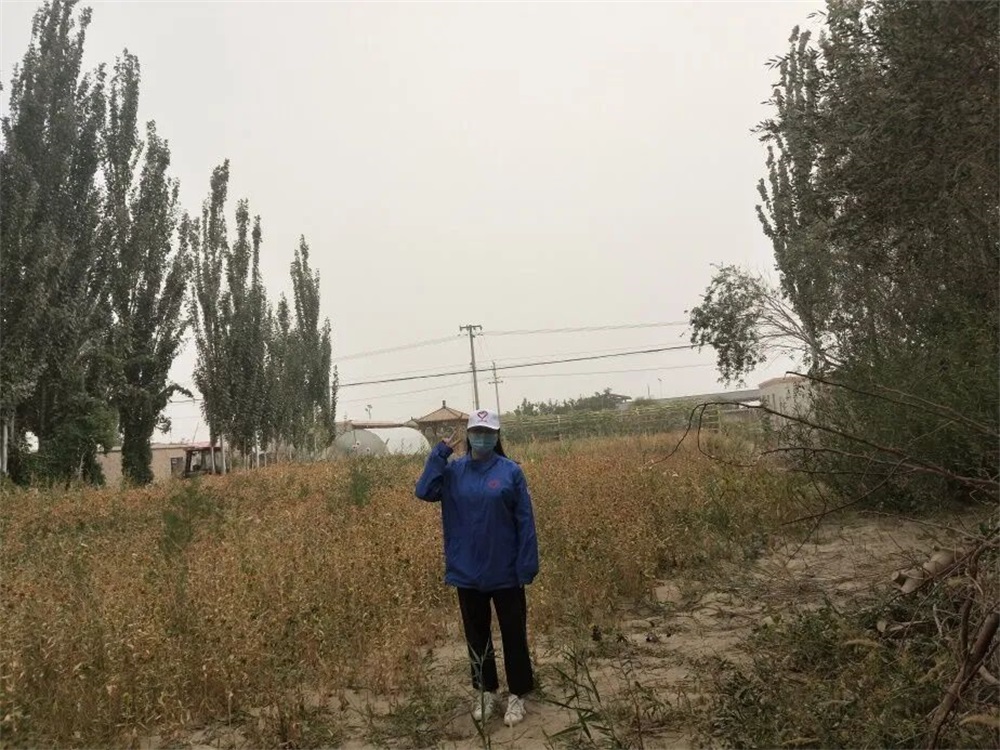BBIN宝盈官方网站