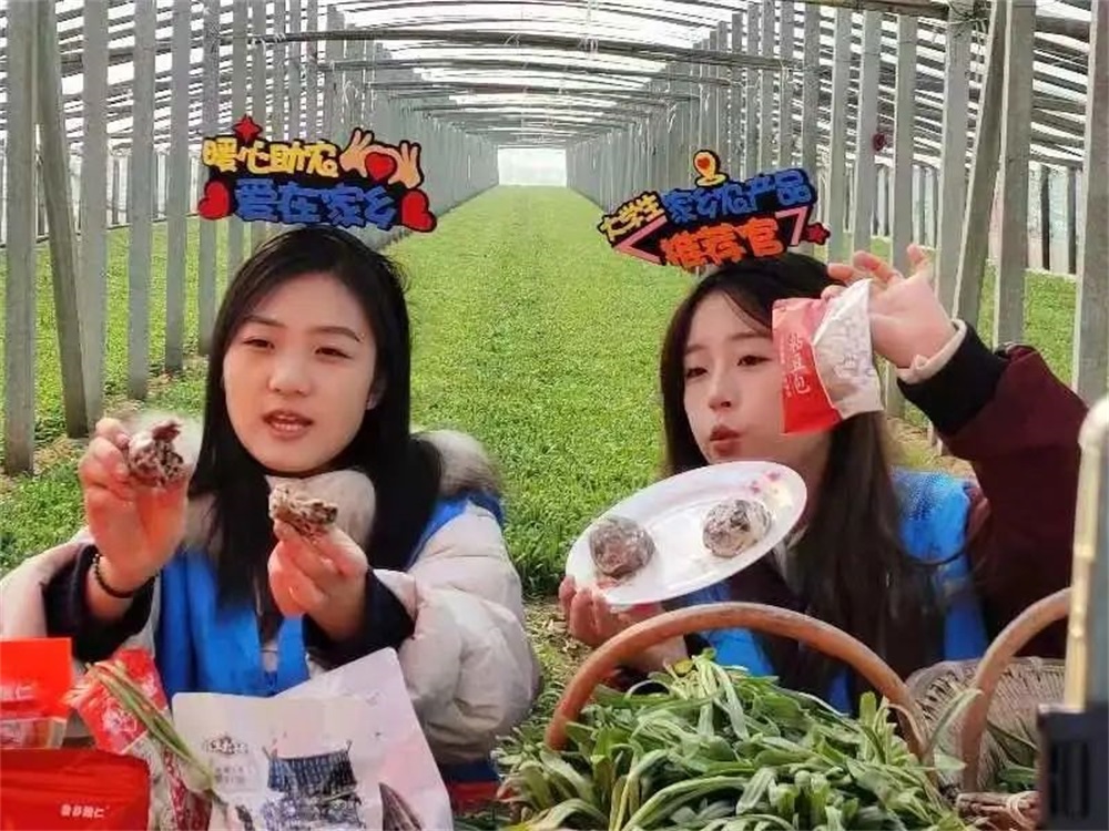 BBIN宝盈官方网站