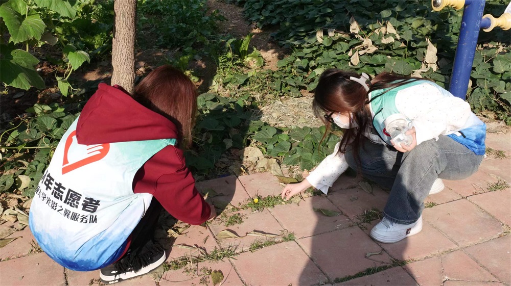 BBIN宝盈官方网站